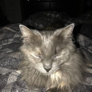 Meet your Posher, Kaylye